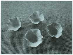 �v���`�i��